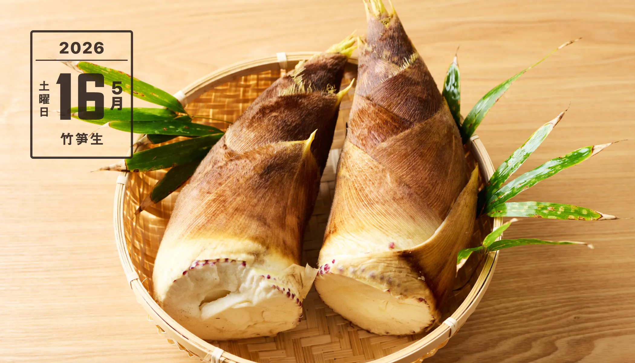 今日の読み物