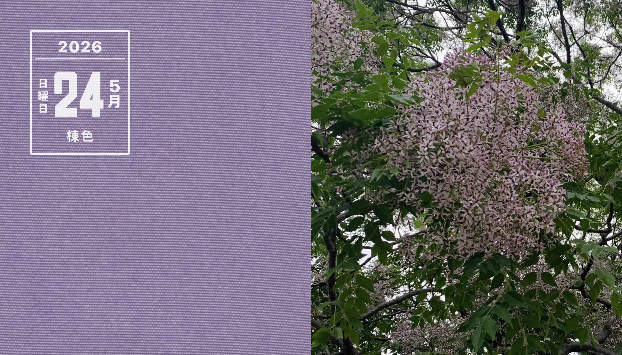 今日の読み物