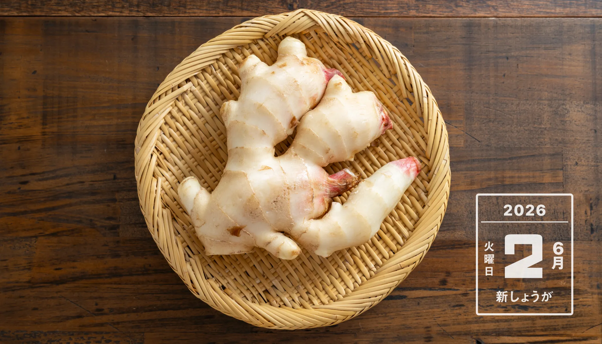 今日の読み物