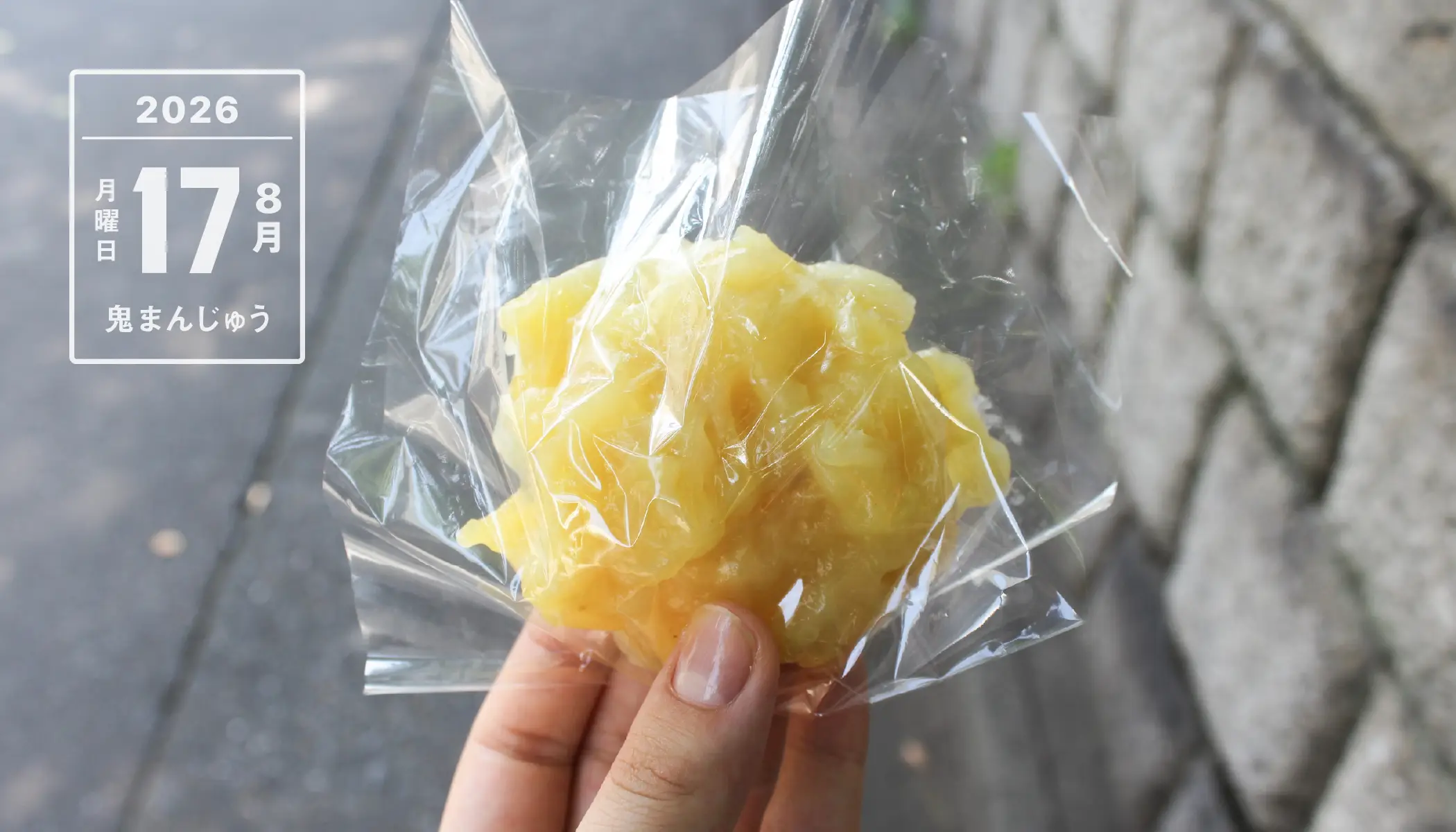 今日の読み物