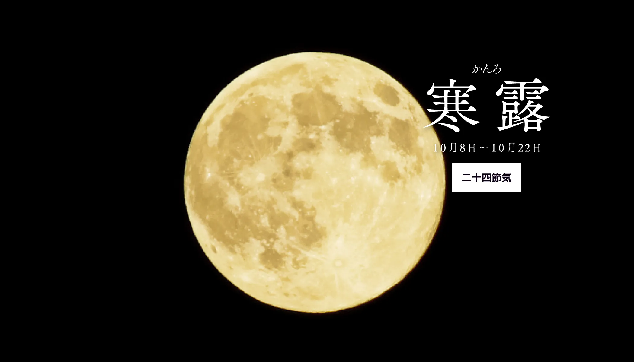 寒露