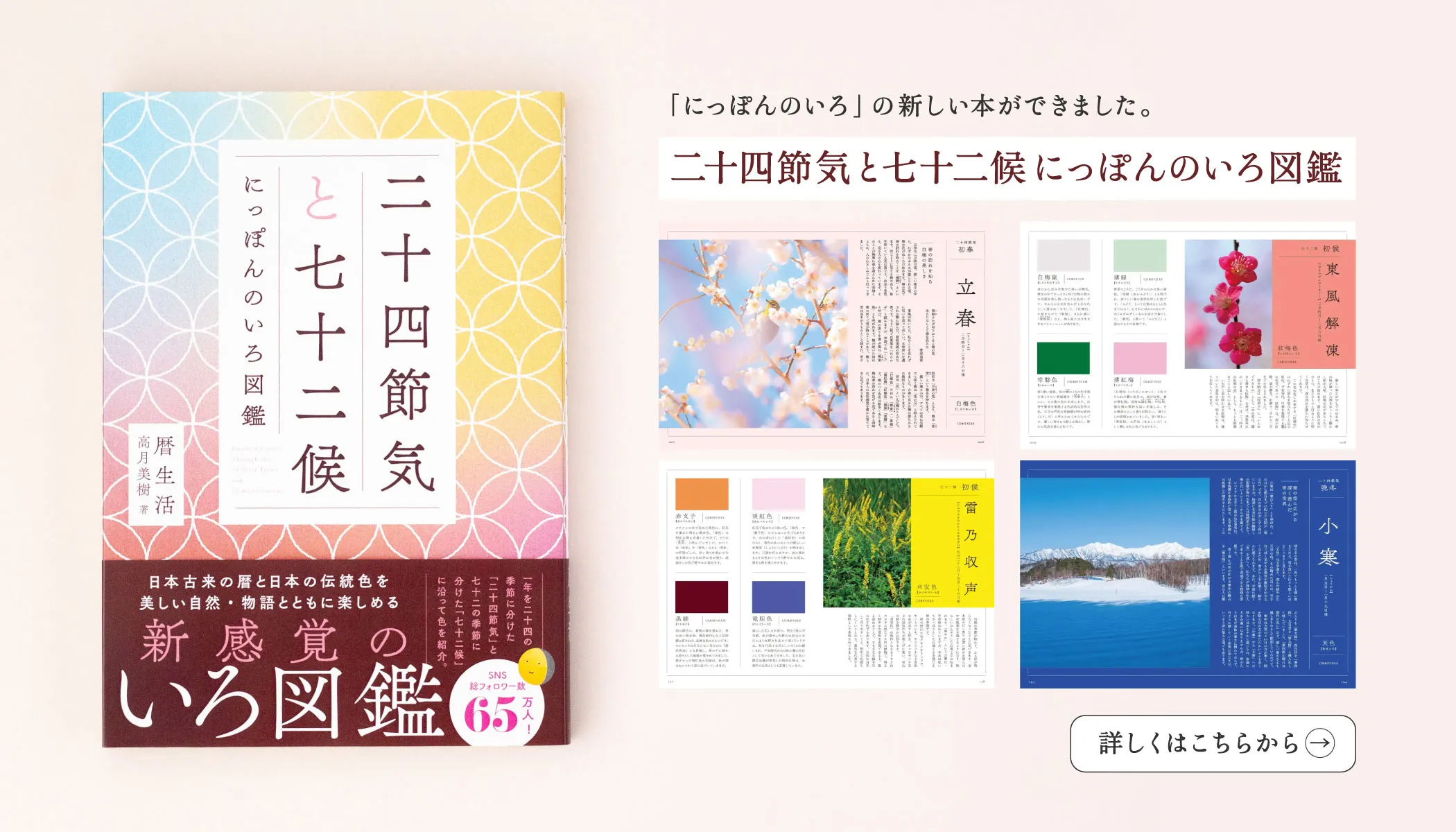 二十四節気と七十二候にっぽんのいろ図鑑